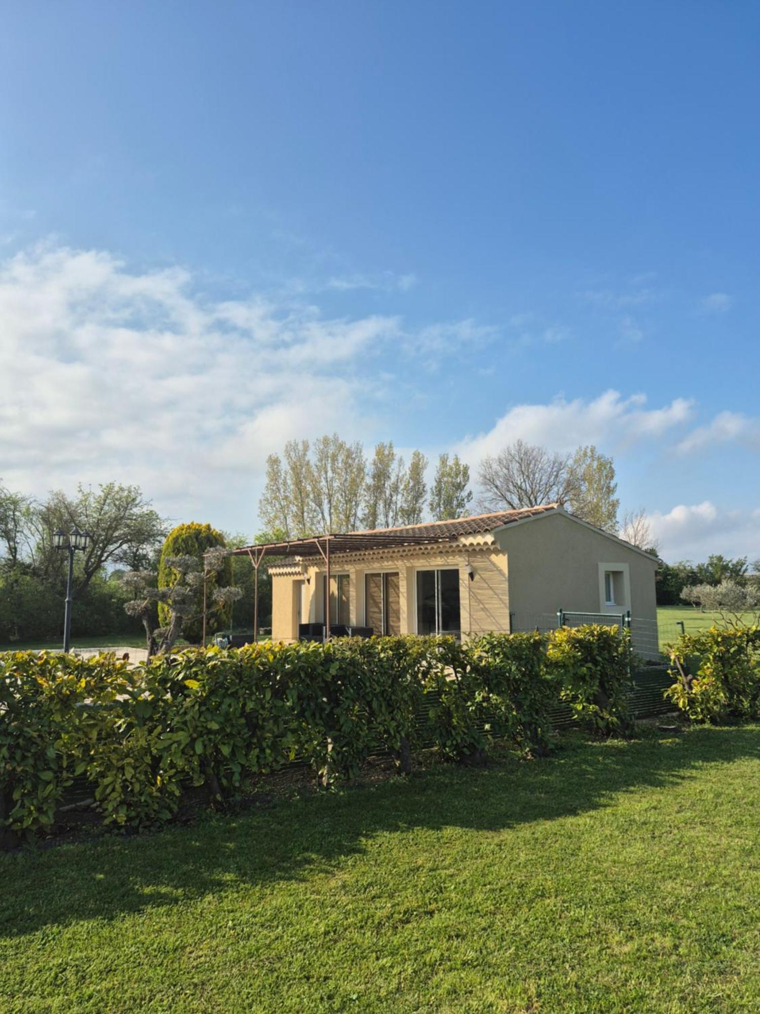 Mas Clement - Chambre et table d'hôtes LʼIsle-sur-la-Sorgue Exterior foto