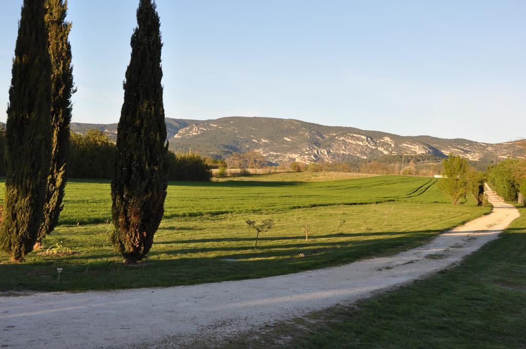 Mas Clement - Chambre et table d'hôtes LʼIsle-sur-la-Sorgue Exterior foto