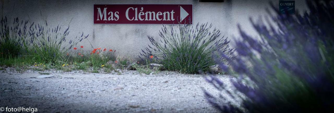 Mas Clement - Chambre et table d'hôtes LʼIsle-sur-la-Sorgue Exterior foto